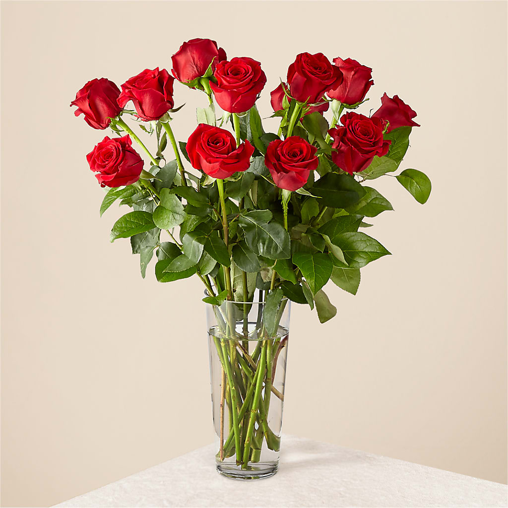 Long Stem Red Rose Bouquet – Bulldog Flowers, Athens GA
