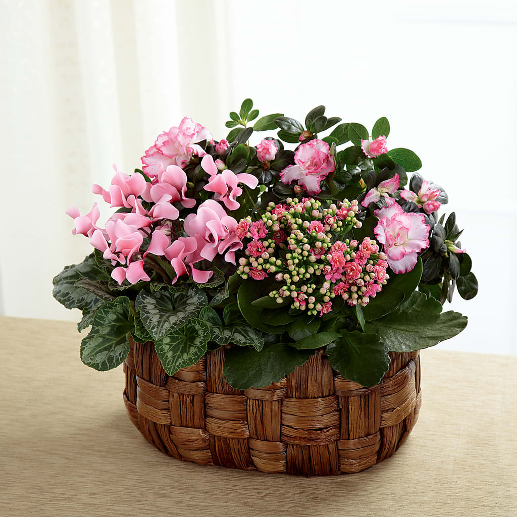Pink Assortment – Bulldog Flowers, Athens GA