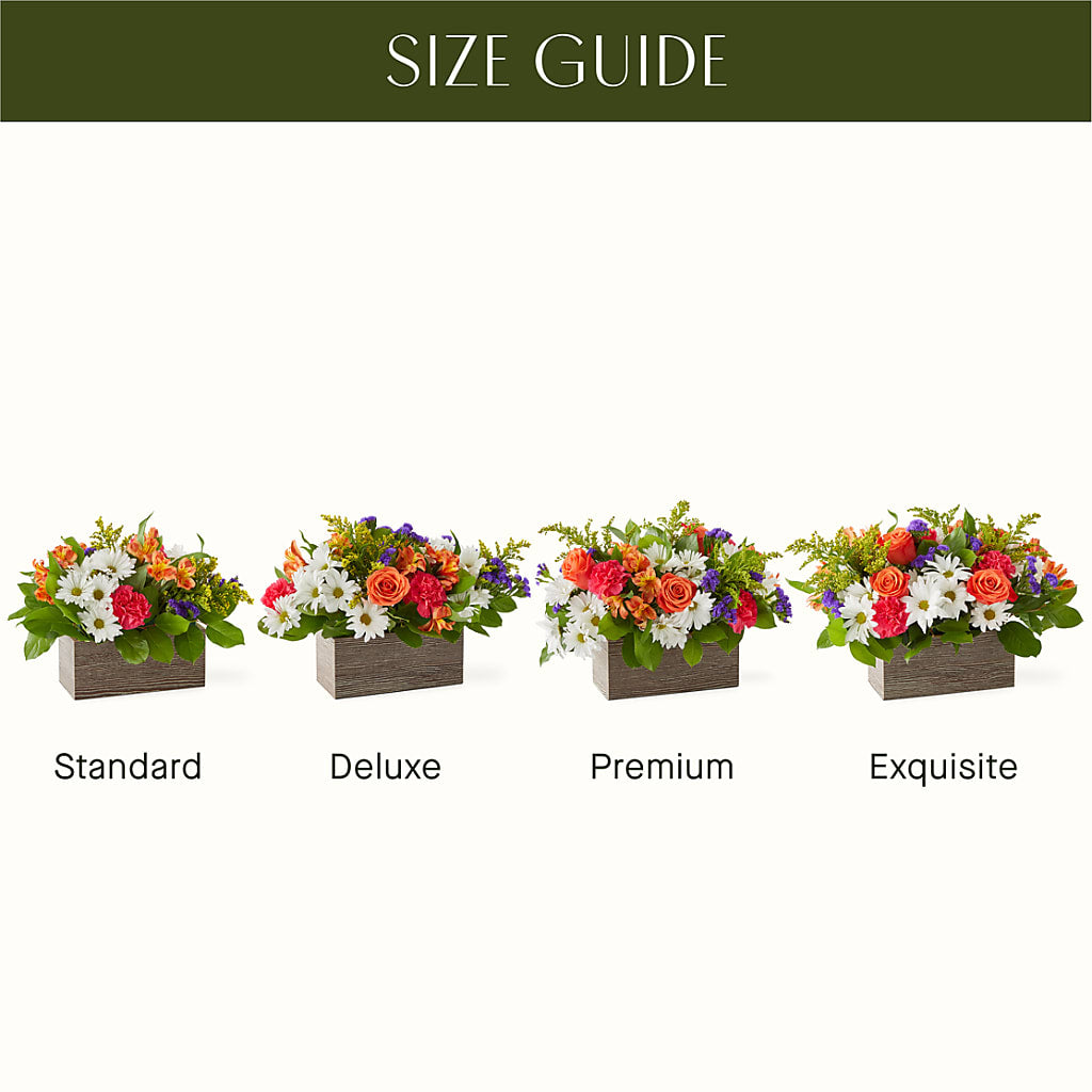 Oopsie Daisy Box Bouquet – Bulldog Flowers, Athens GA