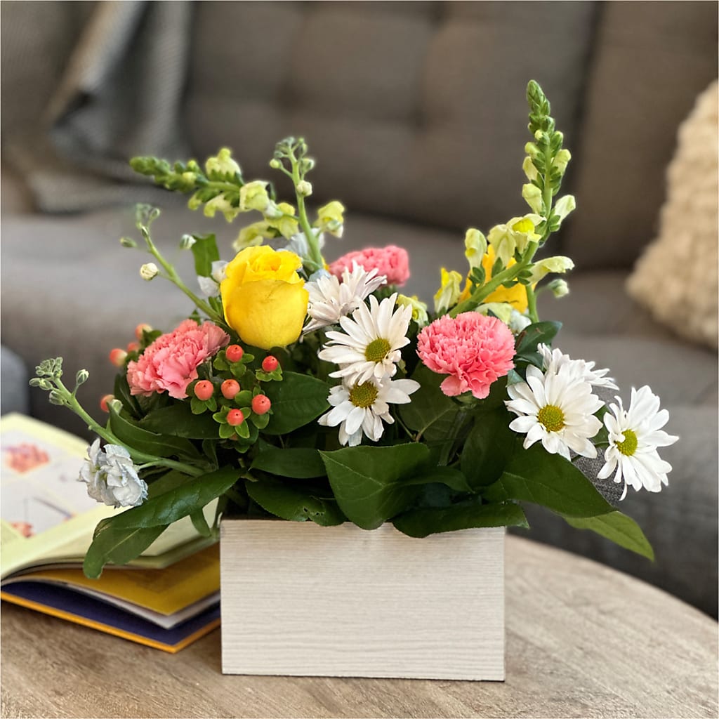 Sun Salutation Box Bouquet – Bulldog Flowers, Athens GA