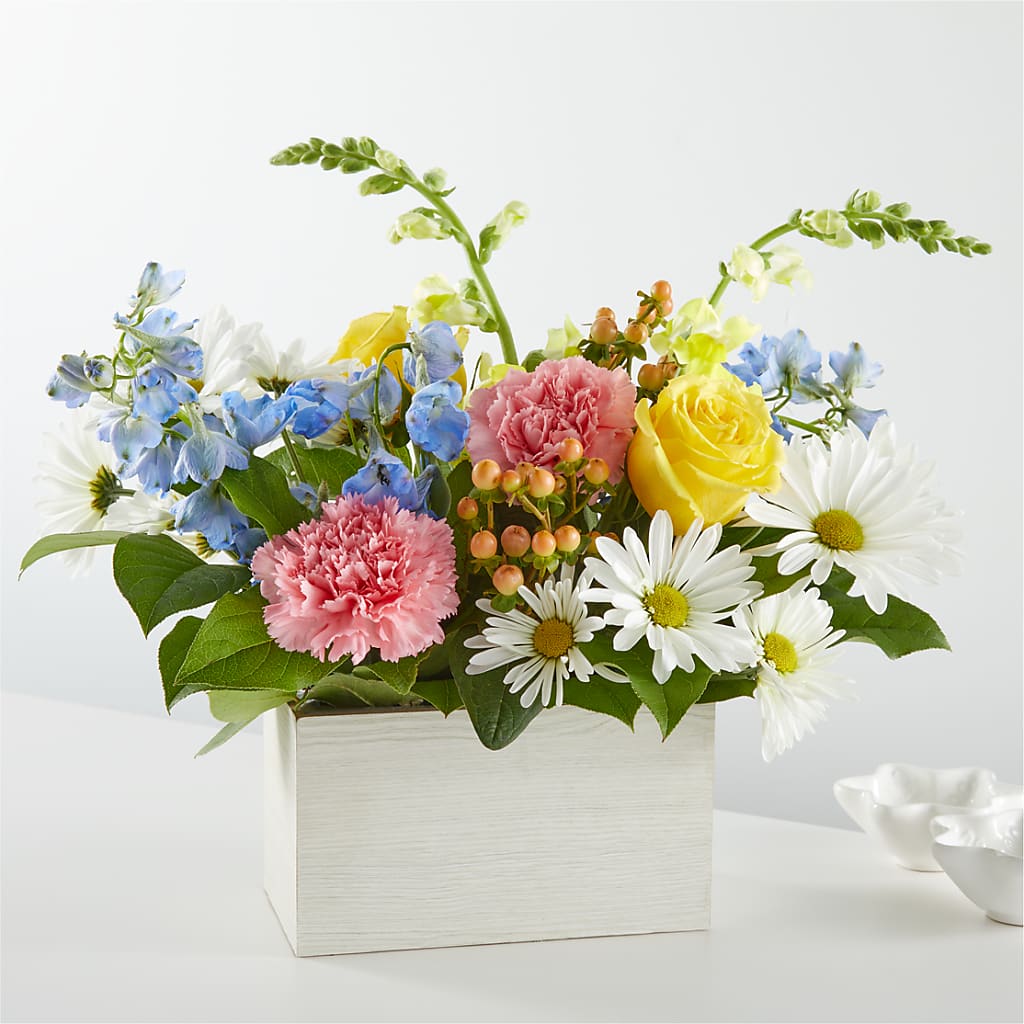 Sun Salutation Box Bouquet – Bulldog Flowers, Athens GA