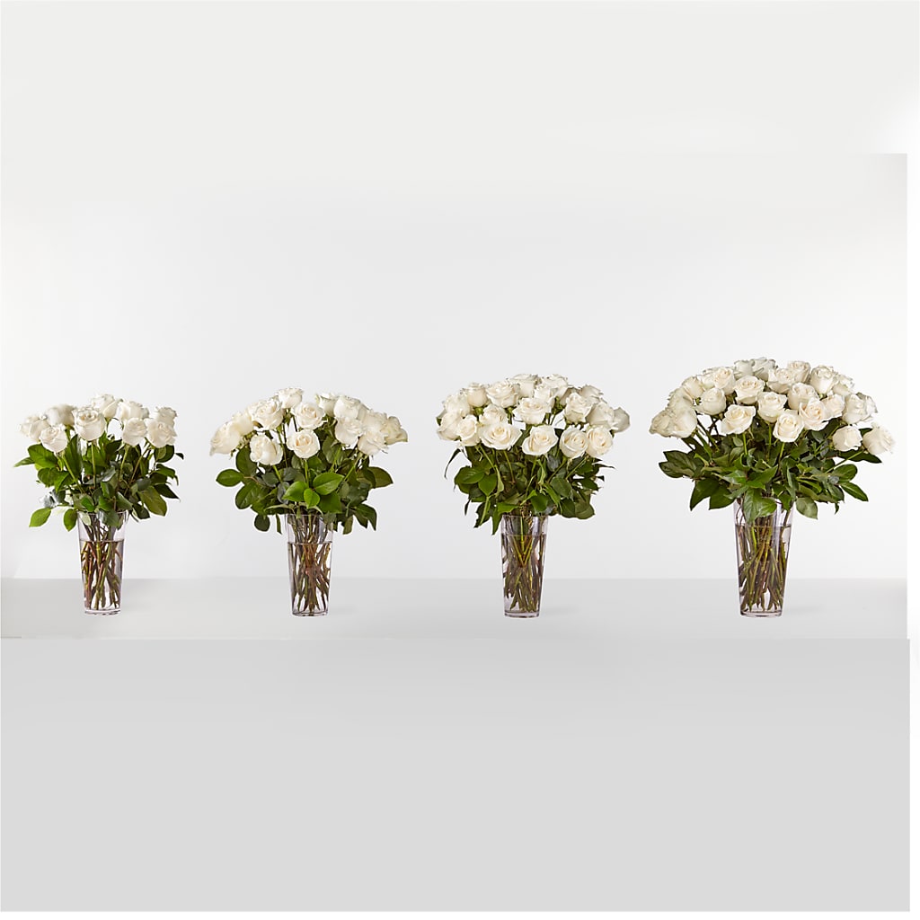 Long Stem White Rose Bouquet – Bulldog Flowers, Athens GA