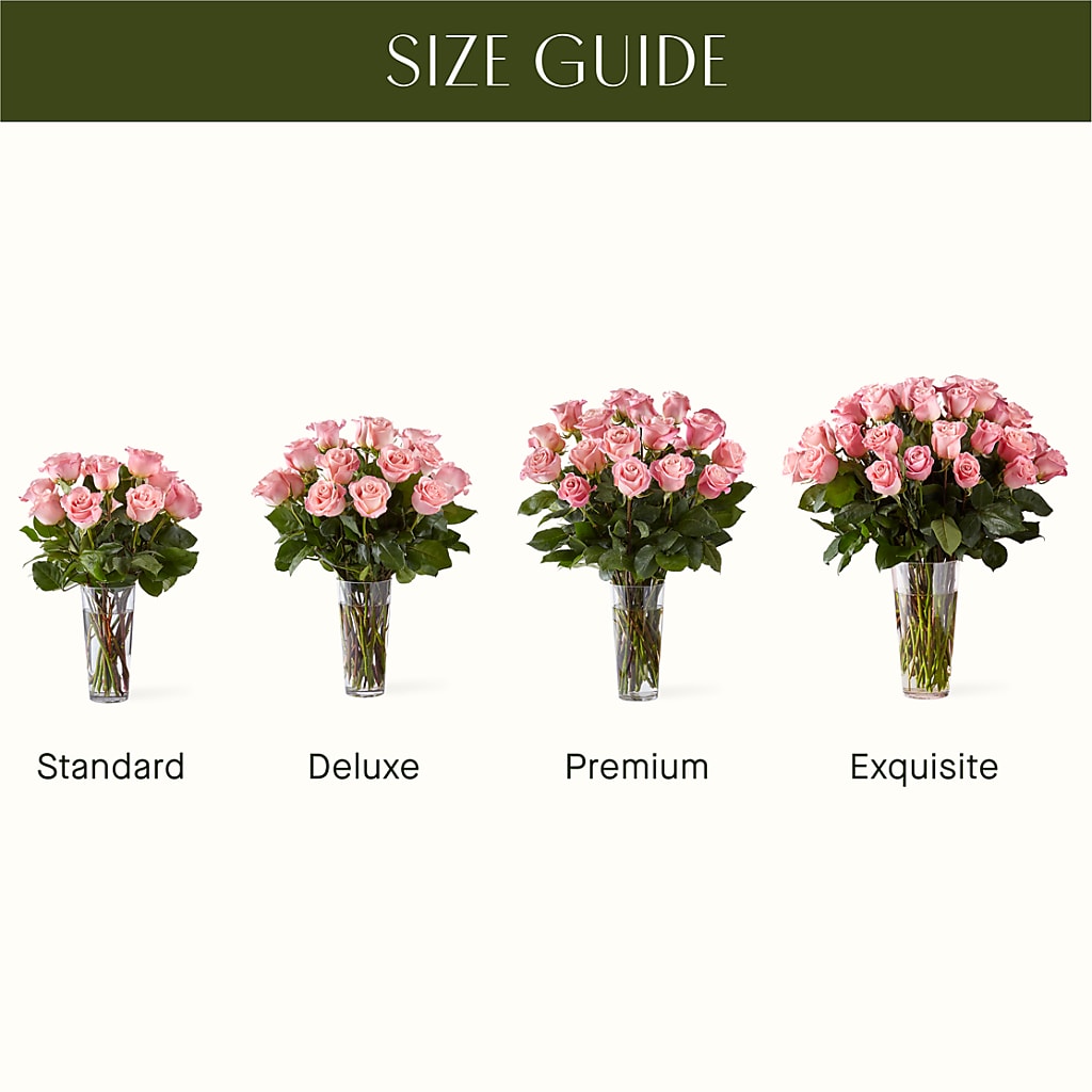 Long Stem Pink Rose Bouquet – Bulldog Flowers, Athens GA