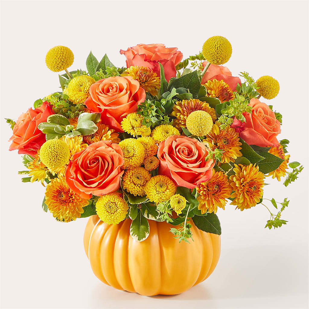 Gourdgeous Pumpkin – Bulldog Flowers, Athens GA