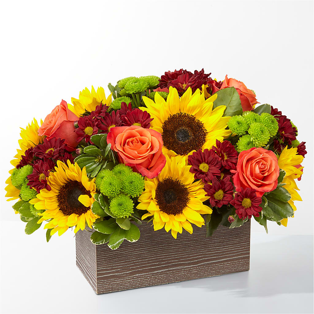 Happy Harvest Garden – Bulldog Flowers, Athens GA