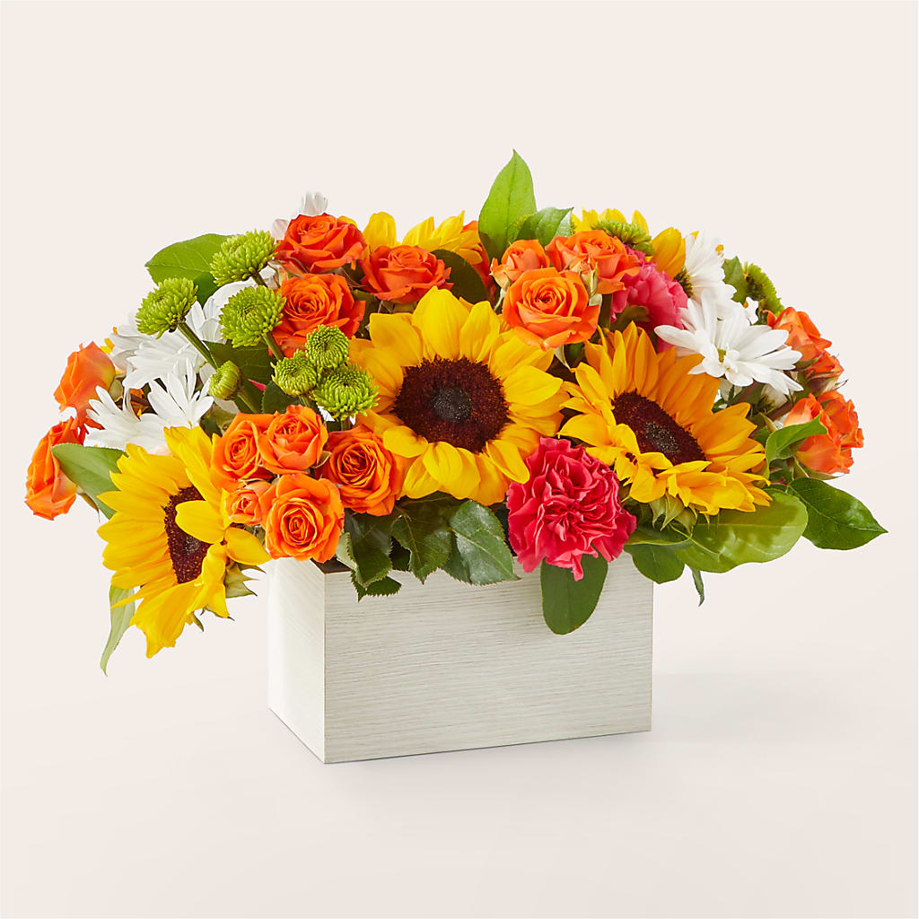 Sun-drenched Blooms Box Bouquet – Bulldog Flowers, Athens GA
