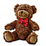 Plush Bear – Bulldog Flowers, Athens GA