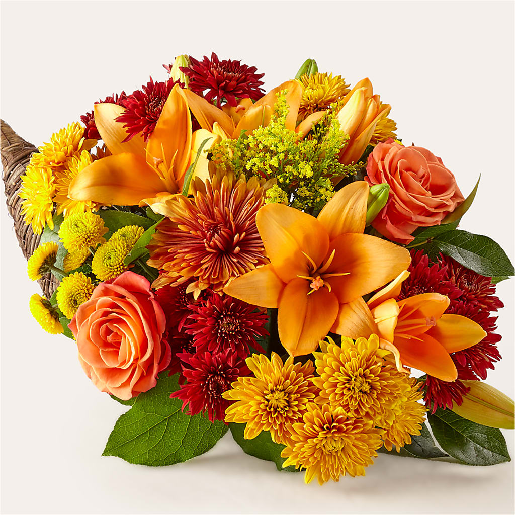 Feast of Color Cornucopia – Bulldog Flowers, Athens GA