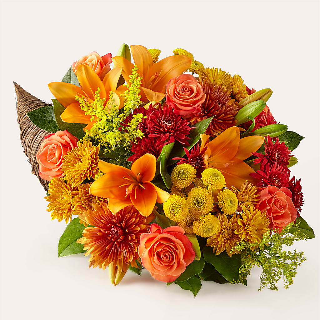 Feast of Color Cornucopia – Bulldog Flowers, Athens GA