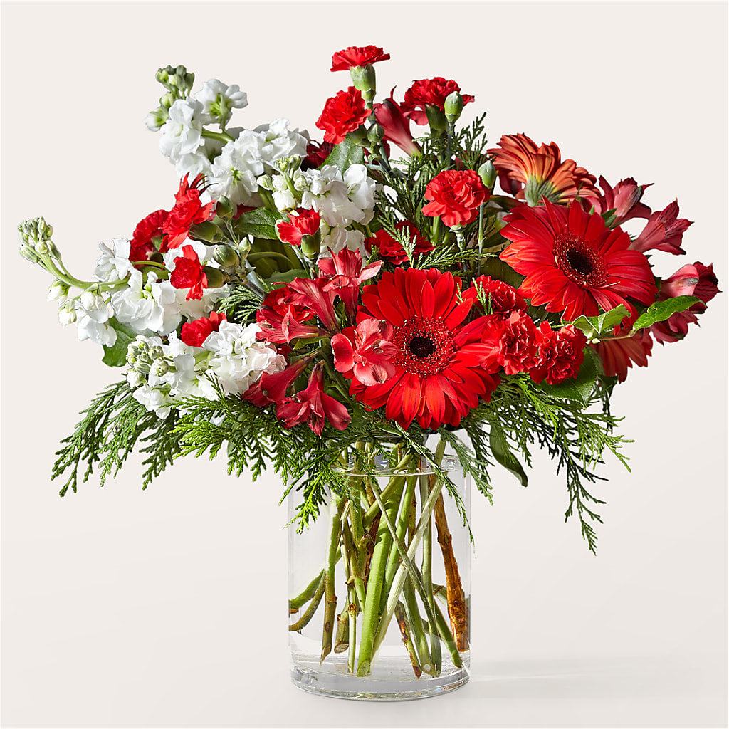 Holidaisy Bouquet – Bulldog Flowers, Athens GA