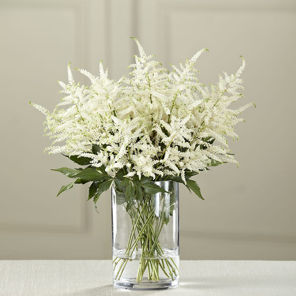 White Astilbe Bouquet – Bulldog Flowers, Athens GA