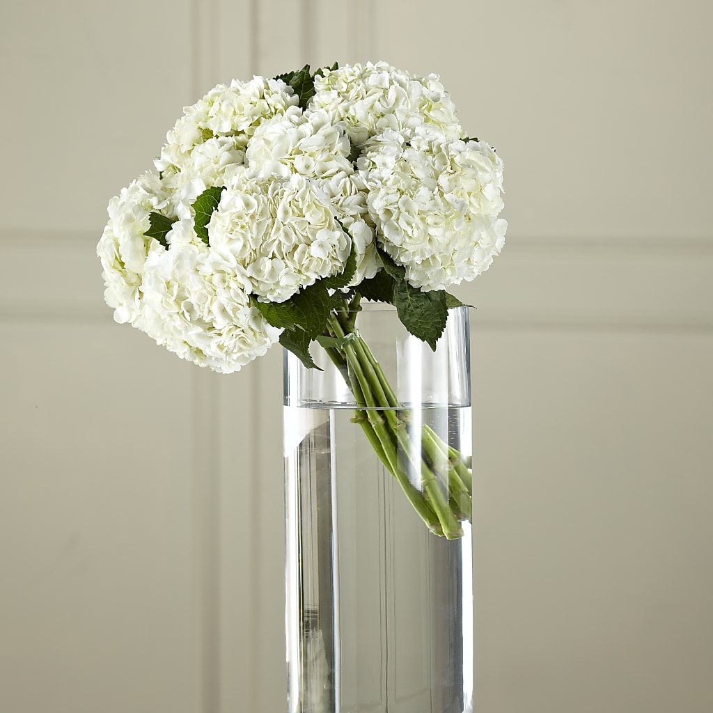 White Hydrangea Hand-Tied Bouquet – Bulldog Flowers, Athens GA