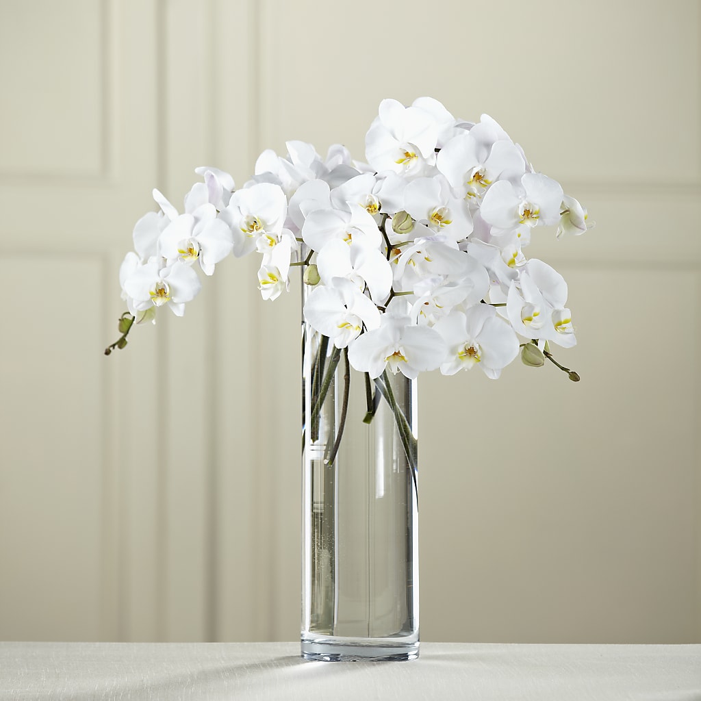 White Phalaenopsis Bouquet – Bulldog Flowers, Athens GA