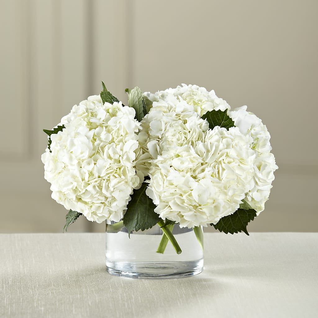 White Hydrangea Bouquet – Bulldog Flowers, Athens GA