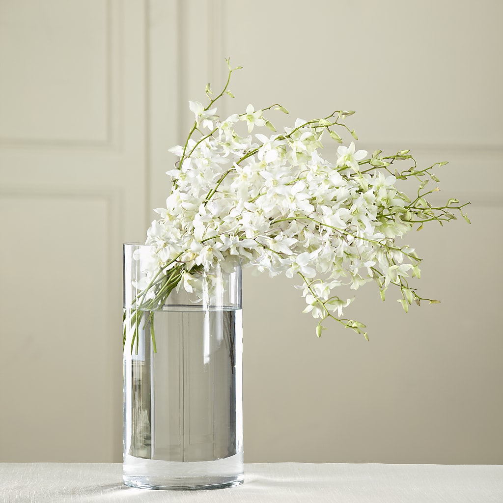 White Dendrobium Bouquet – Bulldog Flowers, Athens GA
