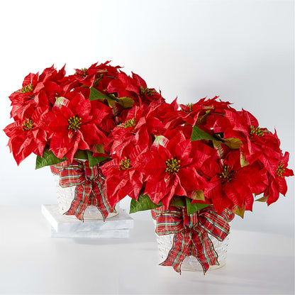 Happiest Holidays Poinsettia Bundle –  Bulldog Flowers, Athens GA