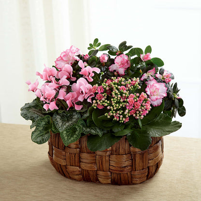 Pink Assortment –  Bulldog Flowers, Athens GA
