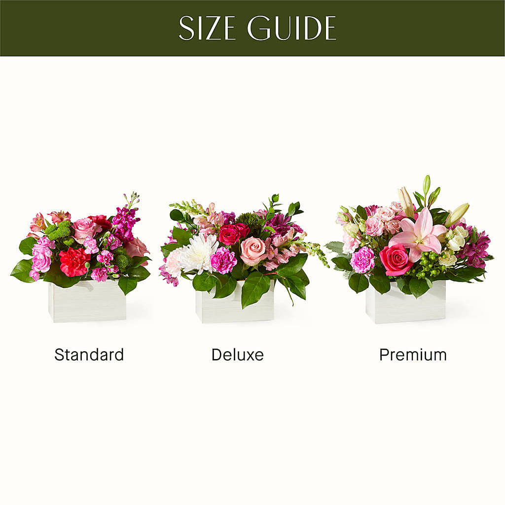 Sweetberry Box – A Florist Original –  Bulldog Flowers, Athens GA