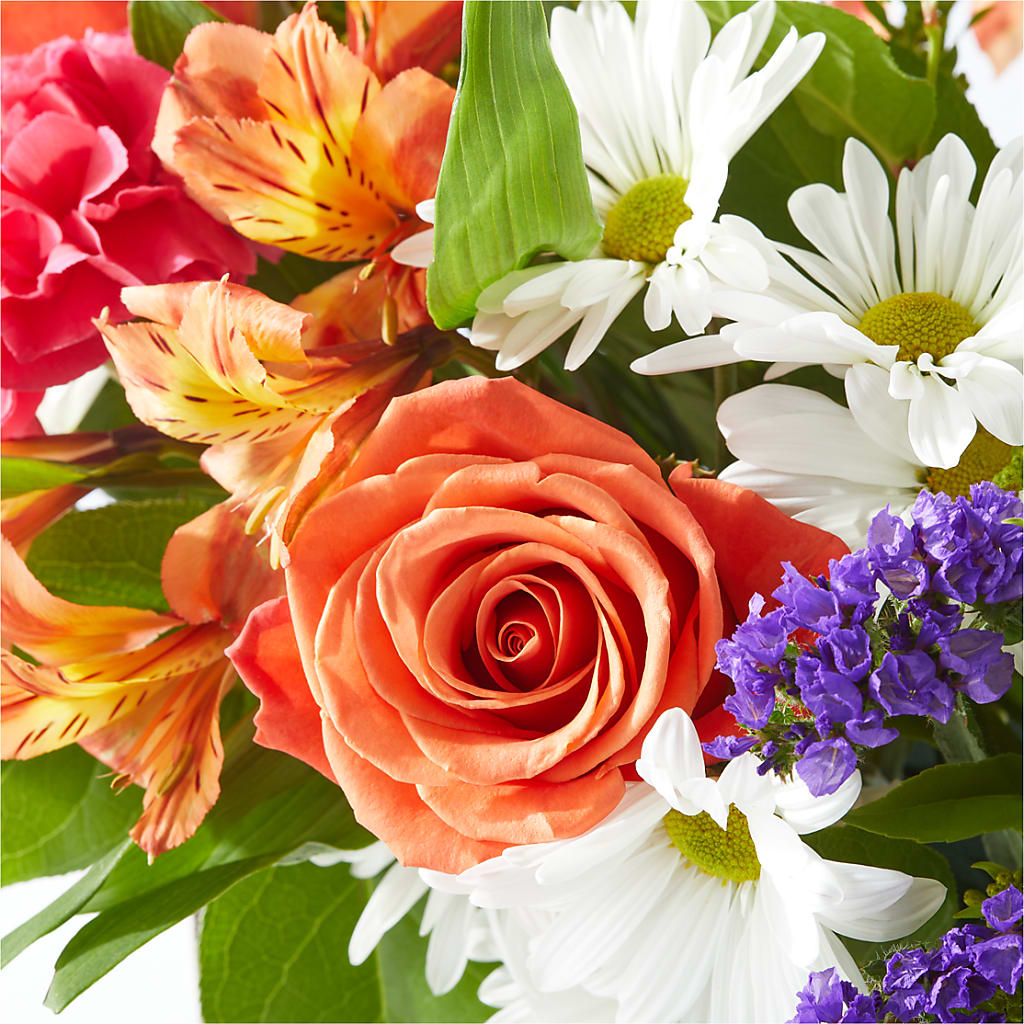 Oopsie Daisy Box Bouquet –  Bulldog Flowers, Athens GA