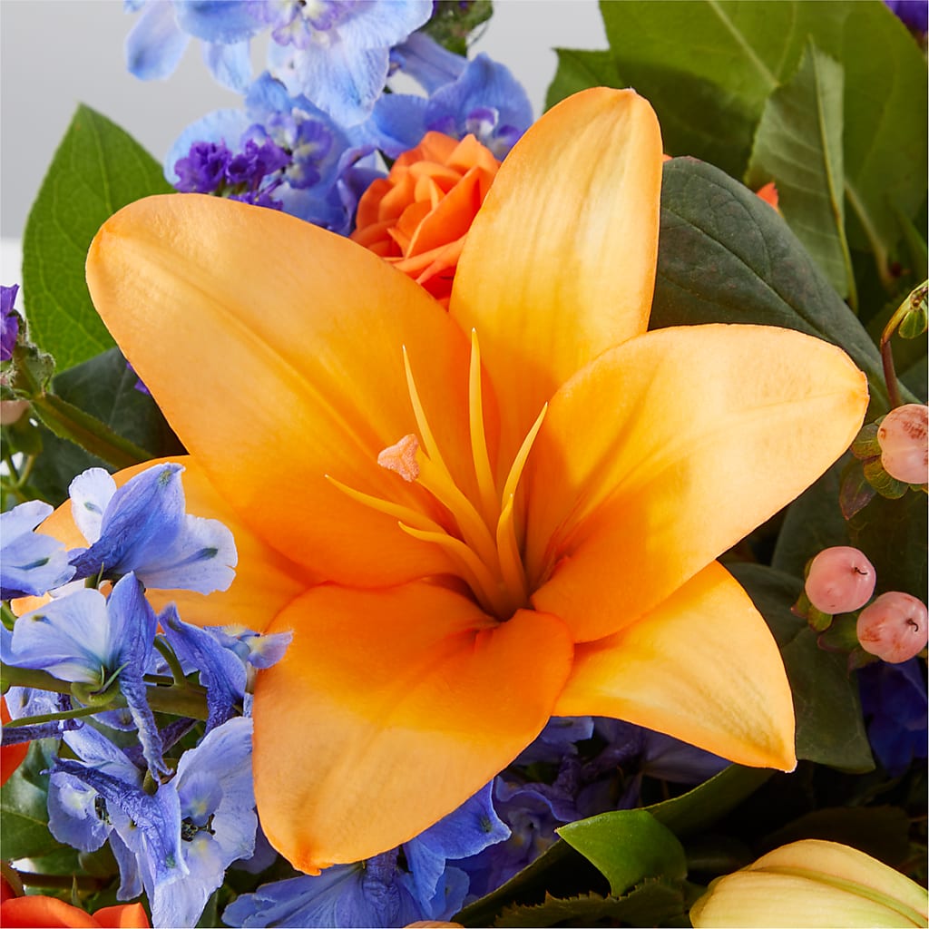 Radiant Citrus Box Bouquet –  Bulldog Flowers, Athens GA