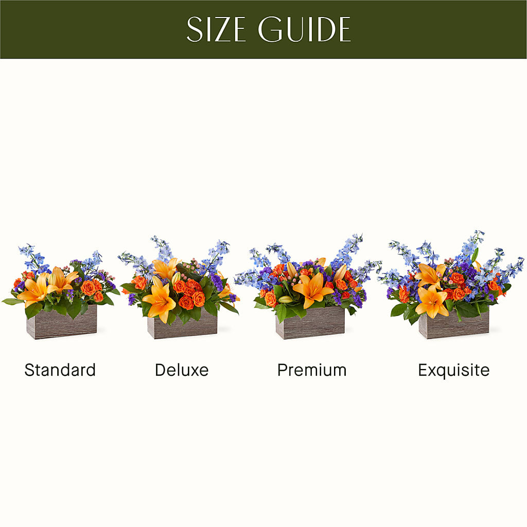 Radiant Citrus Box Bouquet –  Bulldog Flowers, Athens GA