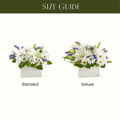 Beyond Blue Box Bouquet –  Bulldog Flowers, Athens GA
