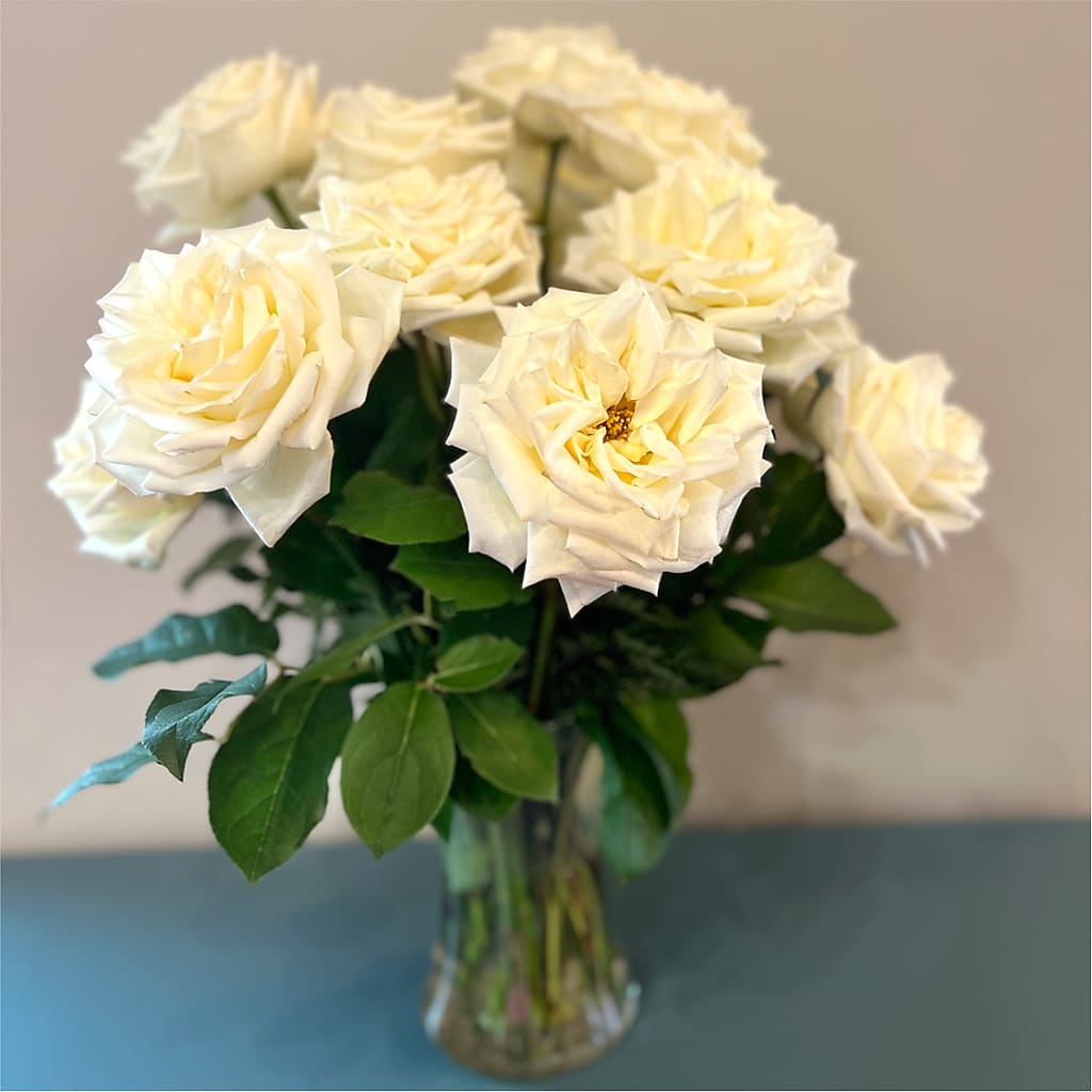 Long Stem Yellow Rose Bouquet –  Bulldog Flowers, Athens GA