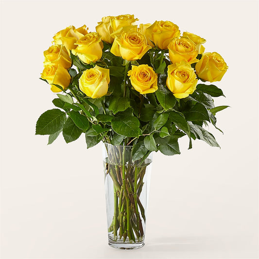 Long Stem Yellow Rose Bouquet –  Bulldog Flowers, Athens GA