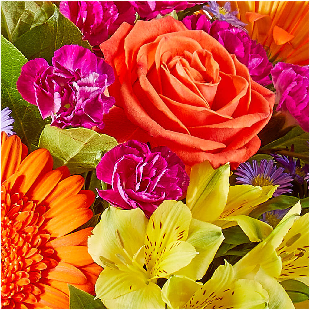 Tricks & Treats Pumpkin –  Bulldog Flowers, Athens GA