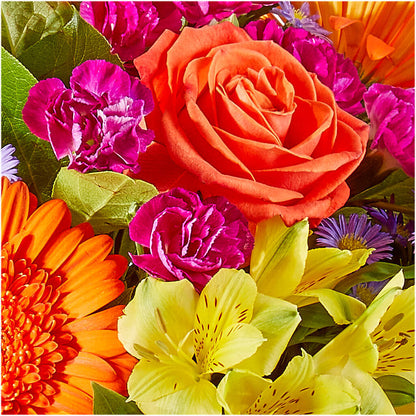 Tricks & Treats Pumpkin –  Bulldog Flowers, Athens GA