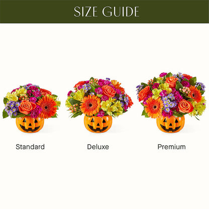 Tricks & Treats Pumpkin –  Bulldog Flowers, Athens GA