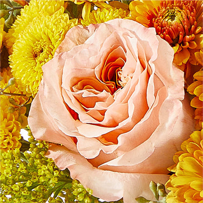 Peachy Pumpkin –  Bulldog Flowers, Athens GA