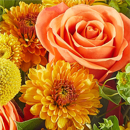 Gourdgeous Pumpkin –  Bulldog Flowers, Athens GA