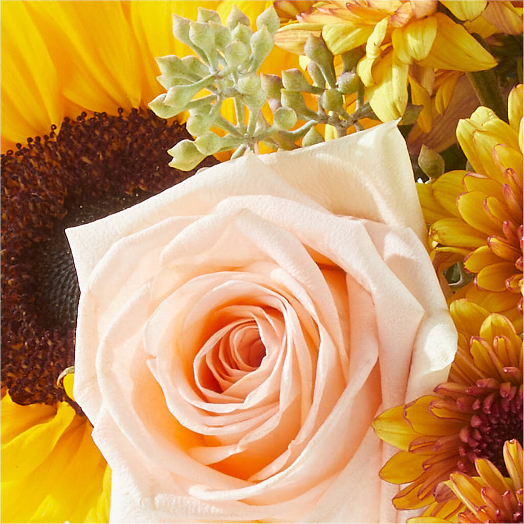 Pumpkin to Talk About Bouquet –  Bulldog Flowers, Athens GA