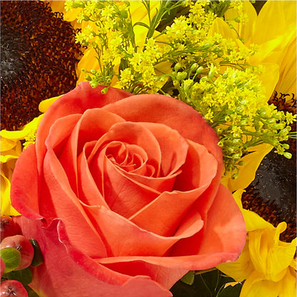 Pick of the Patch Pumpkin Bouquet –  Bulldog Flowers, Athens GA