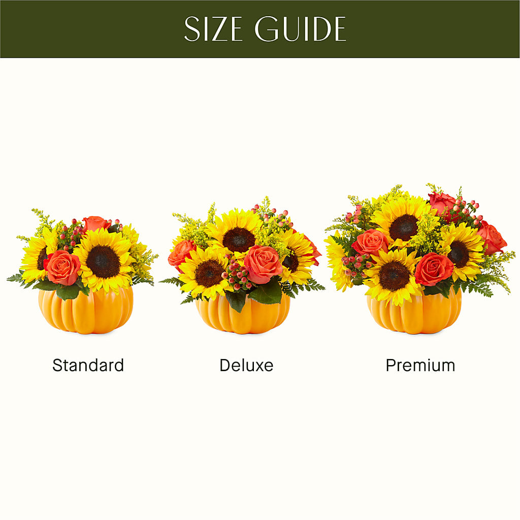 Pick of the Patch Pumpkin Bouquet –  Bulldog Flowers, Athens GA