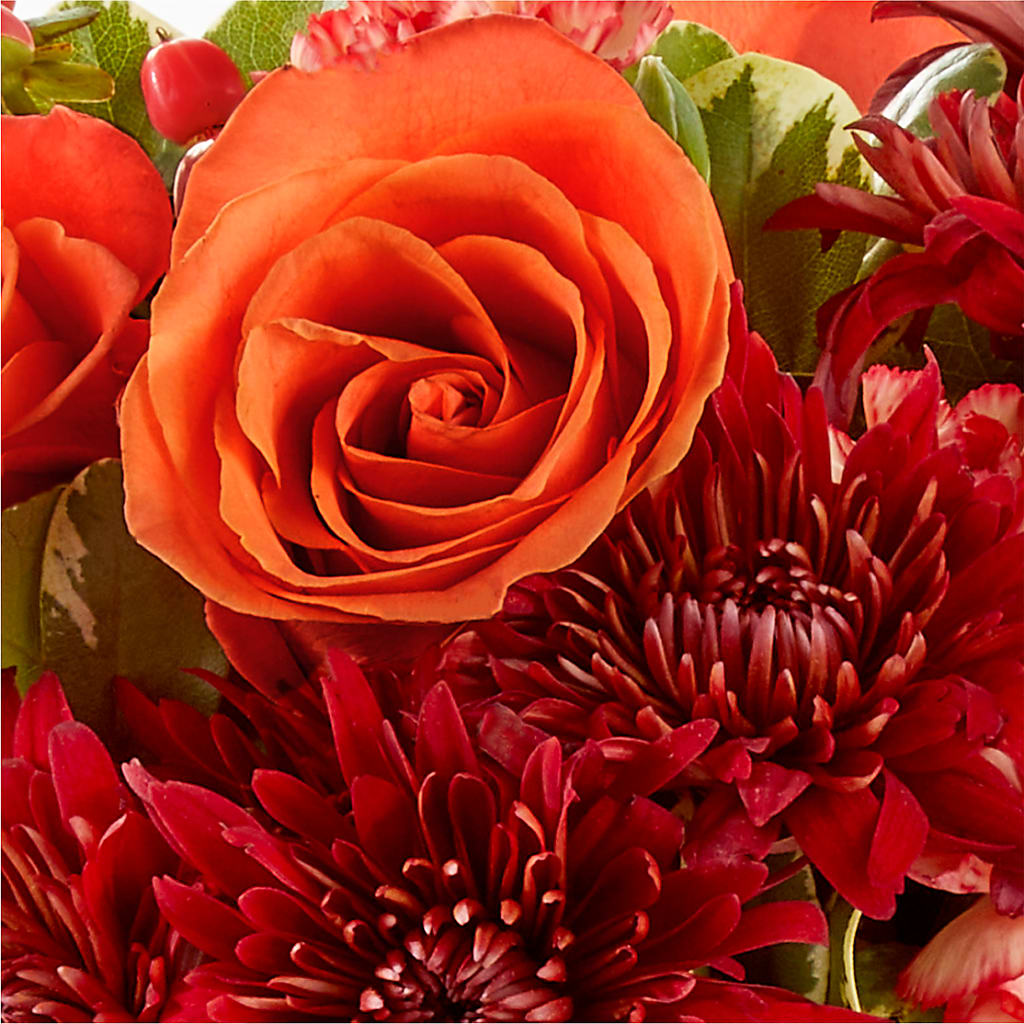 Autumn Air Pumpkin Bouquet –  Bulldog Flowers, Athens GA