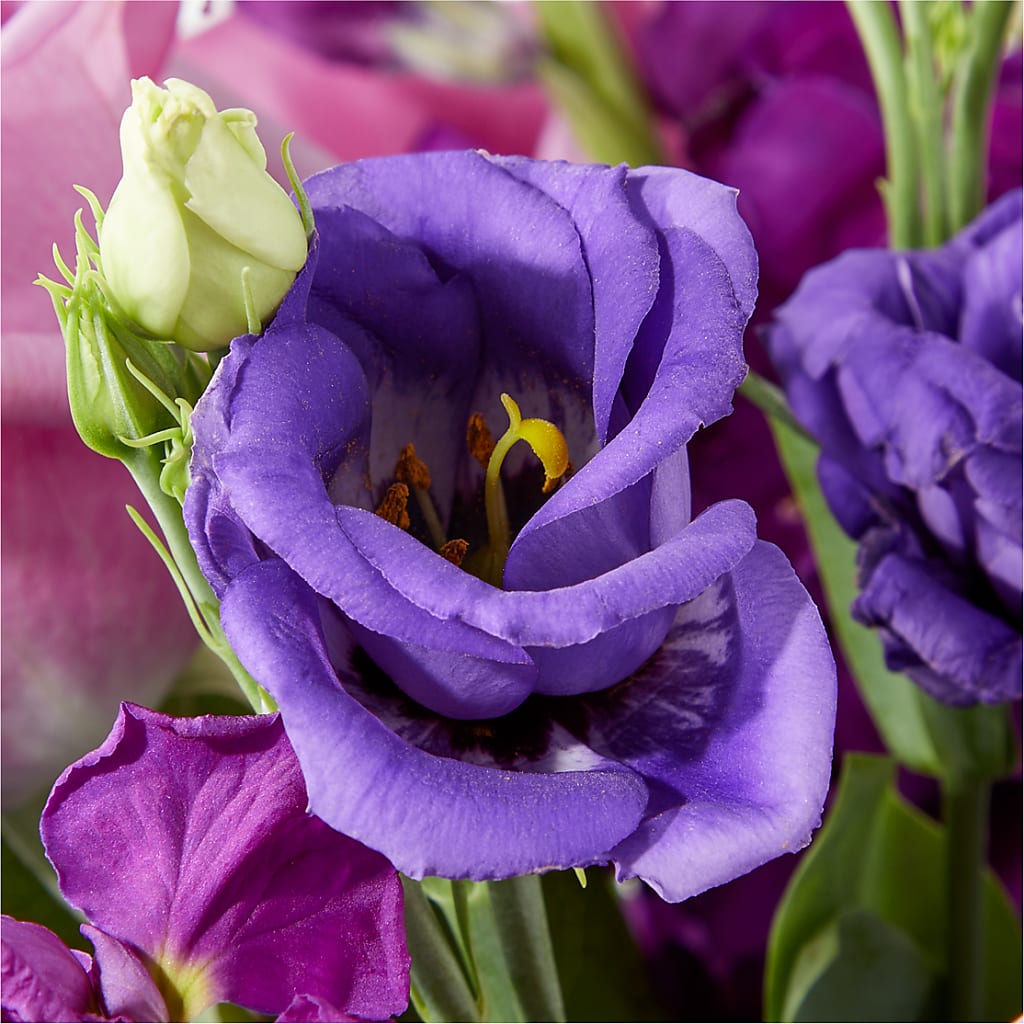 Twilight Glow Bouquet –  Bulldog Flowers, Athens GA