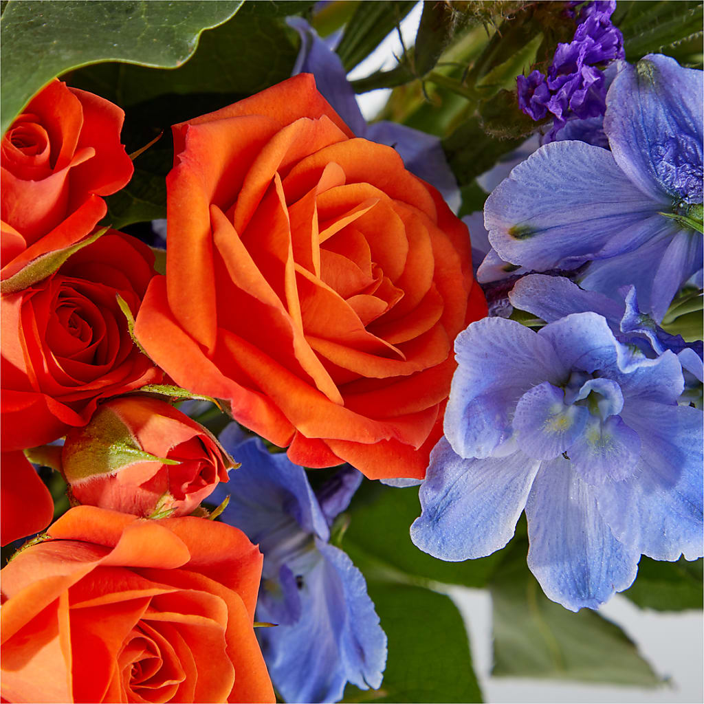 Radiant Citrus Bouquet –  Bulldog Flowers, Athens GA