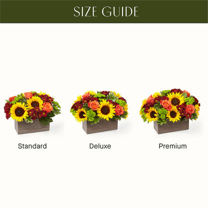 Happy Harvest Garden –  Bulldog Flowers, Athens GA