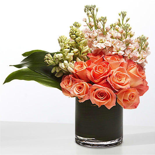 The Moment –  Bulldog Flowers, Athens GA