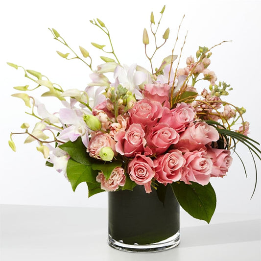 The Muse –  Bulldog Flowers, Athens GA