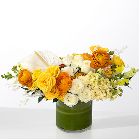 The Optimist –  Bulldog Flowers, Athens GA
