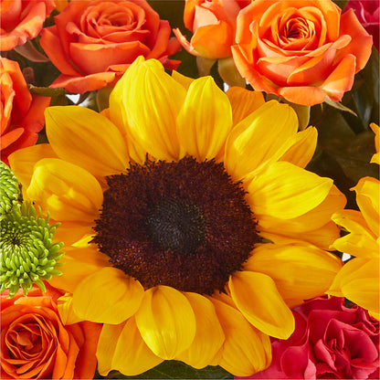 Sun-drenched Blooms Box Bouquet –  Bulldog Flowers, Athens GA