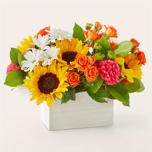 Sun-drenched Blooms Box Bouquet –  Bulldog Flowers, Athens GA
