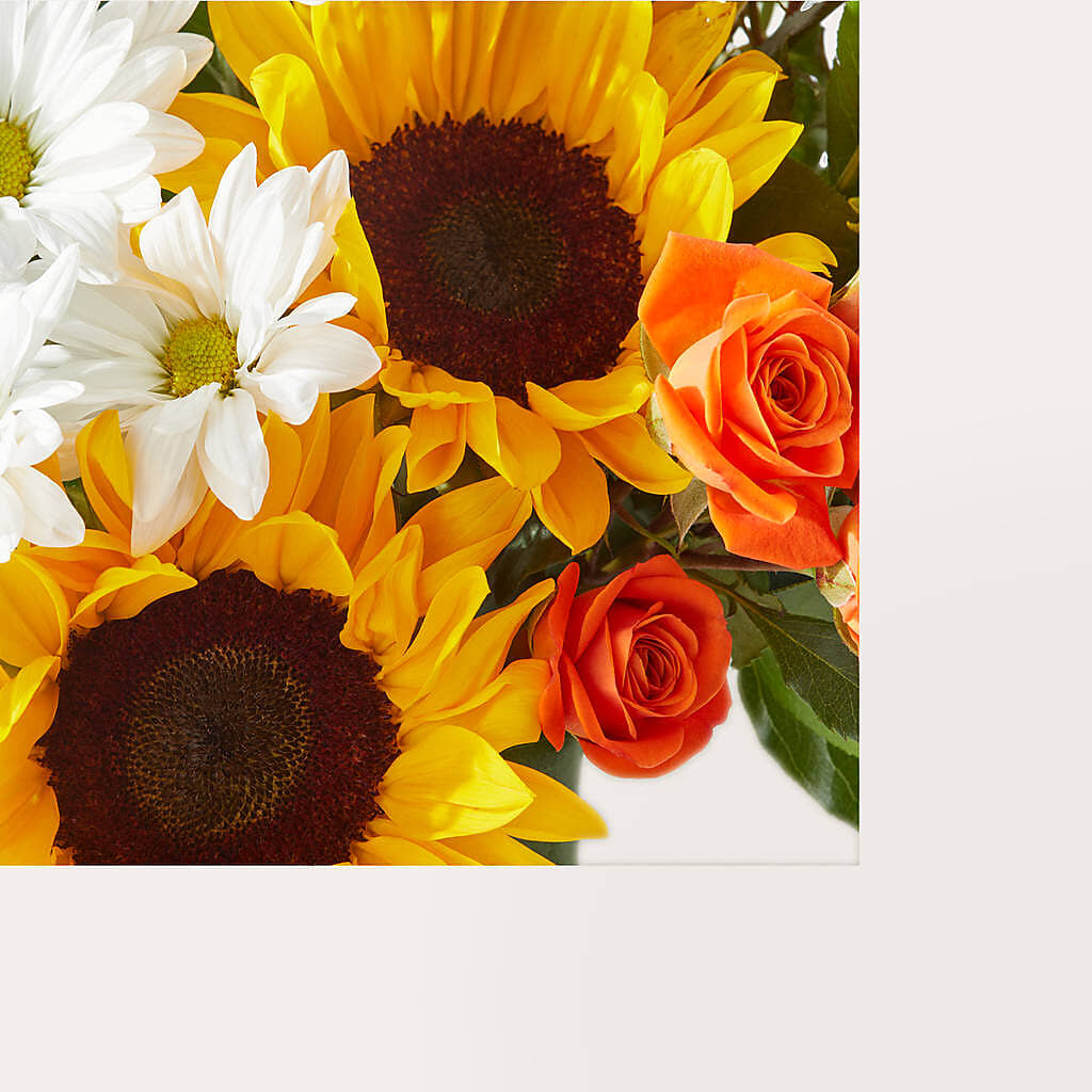 Sun-drenched Blooms Box Bouquet –  Bulldog Flowers, Athens GA