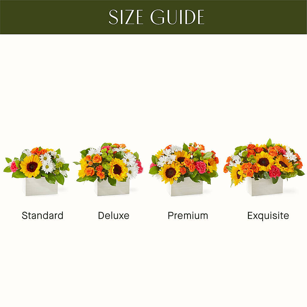 Sun-drenched Blooms Box Bouquet –  Bulldog Flowers, Athens GA