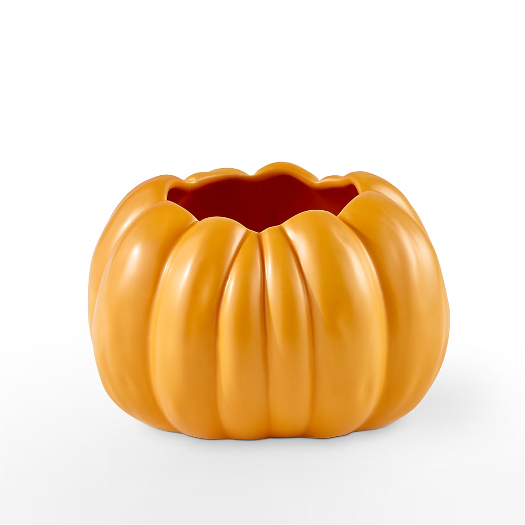 Pick of the Patch Pumpkin Bouquet –  Bulldog Flowers, Athens GA