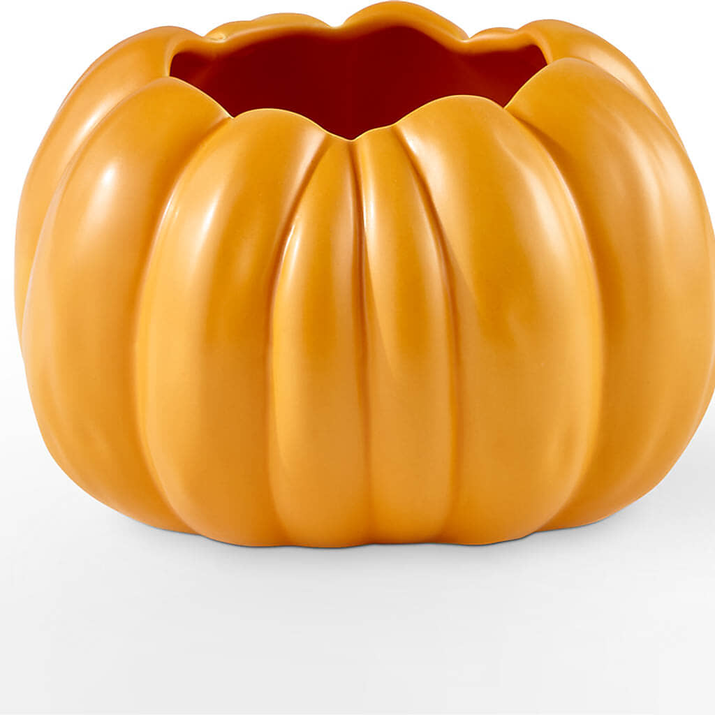 Golden Gourd Pumpkin Bouquet –  Bulldog Flowers, Athens GA