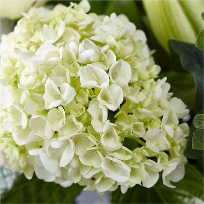 Classic Ivory – A Florist Original –  Bulldog Flowers, Athens GA